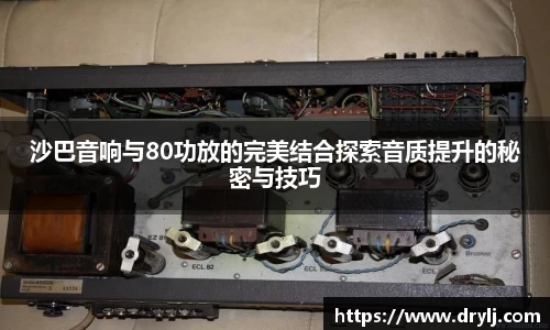 沙巴音响与80功放的完美结合探索音质提升的秘密与技巧