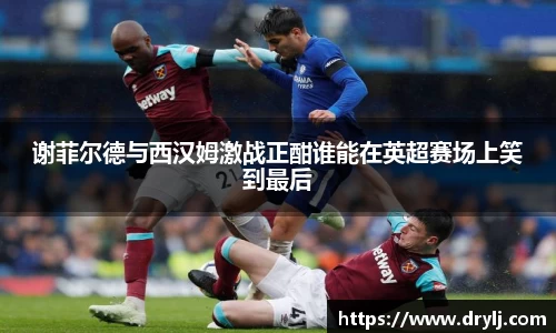 谢菲尔德与西汉姆激战正酣谁能在英超赛场上笑到最后