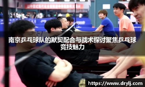 南京乒乓球队的默契配合与战术探讨聚焦乒乓球竞技魅力
