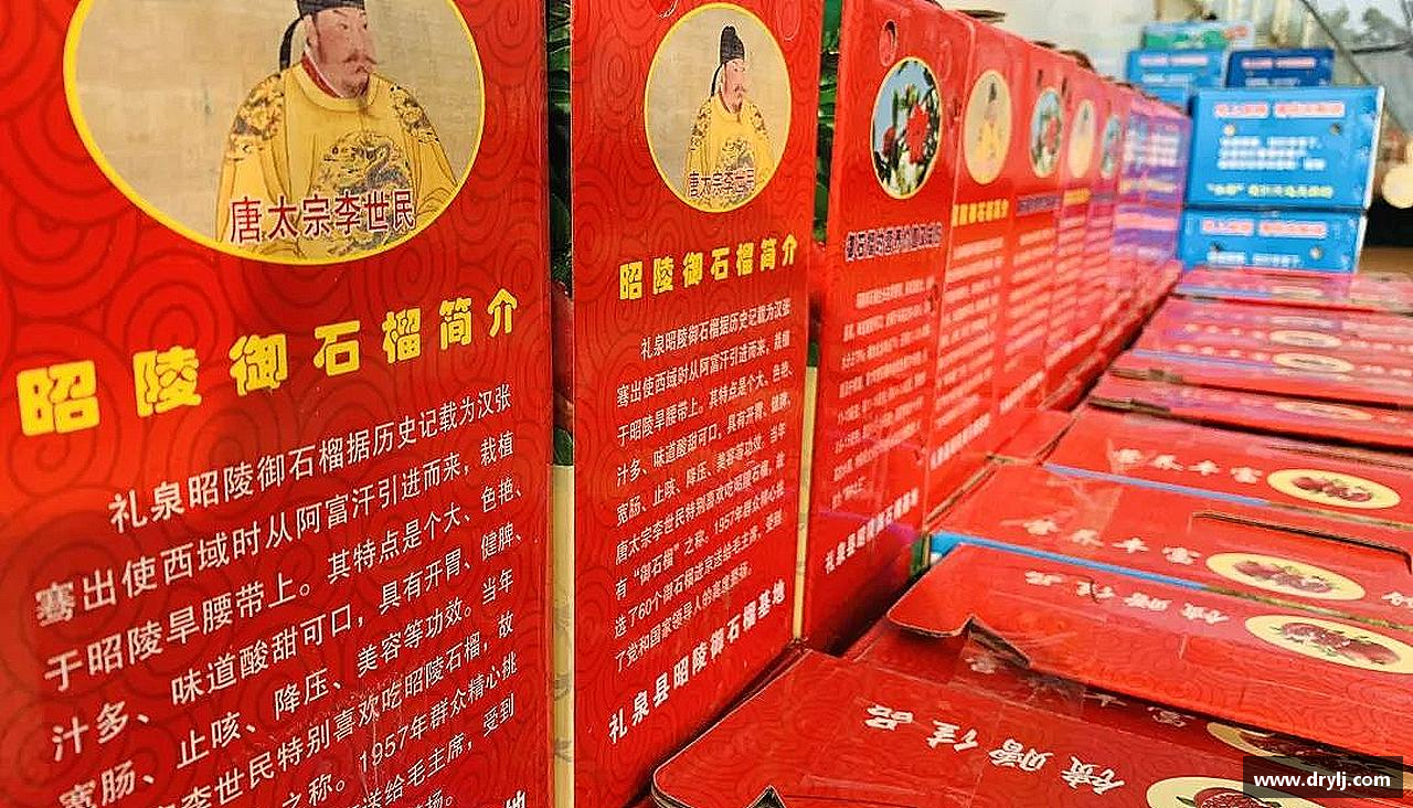 挑战颠峰，践行拼搏